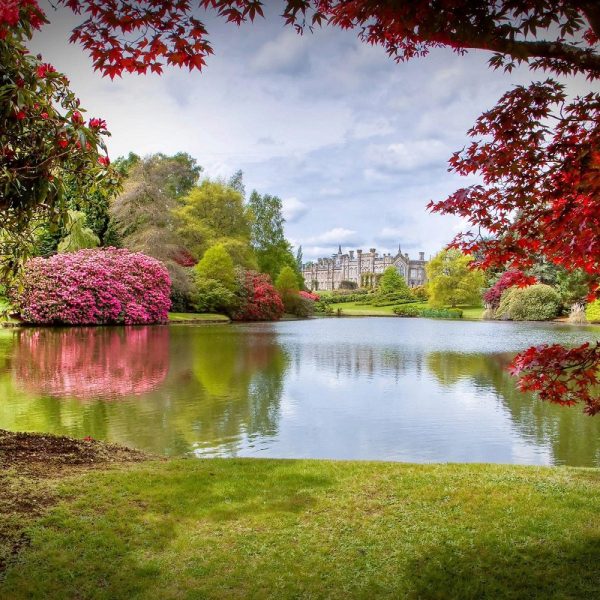 Busreise die schönsten Gärten Südenglands: Sheffield Park