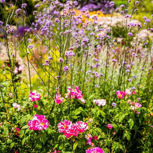 Busreise die schönsten Gärten Südenglands