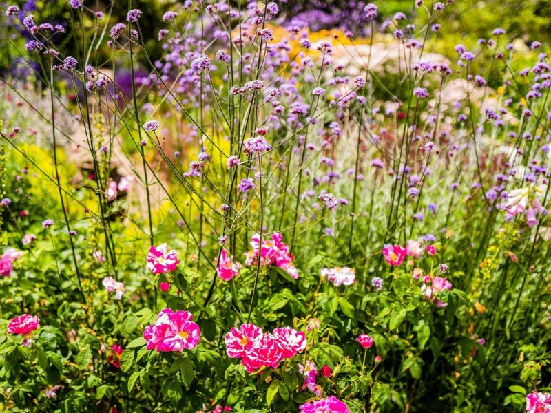 Busreise die schönsten Gärten Südenglands