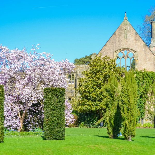 Busreise die schönsten Gärten Südenglands: Nymans Garden