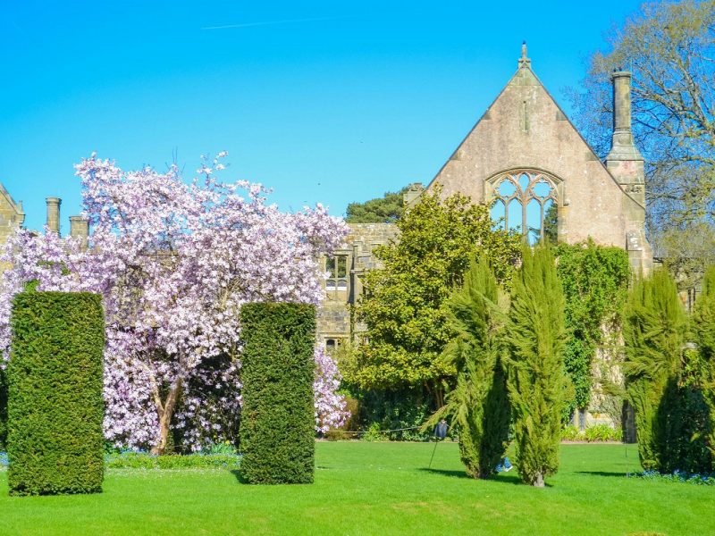 Busreise die schönsten Gärten Südenglands: Nymans Garden