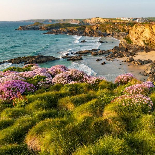 Busreise Premiumgartenreise Cornwall