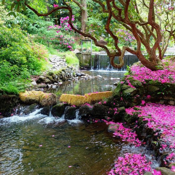 Busreise Gartenträume in Wales: Bodnant Garden