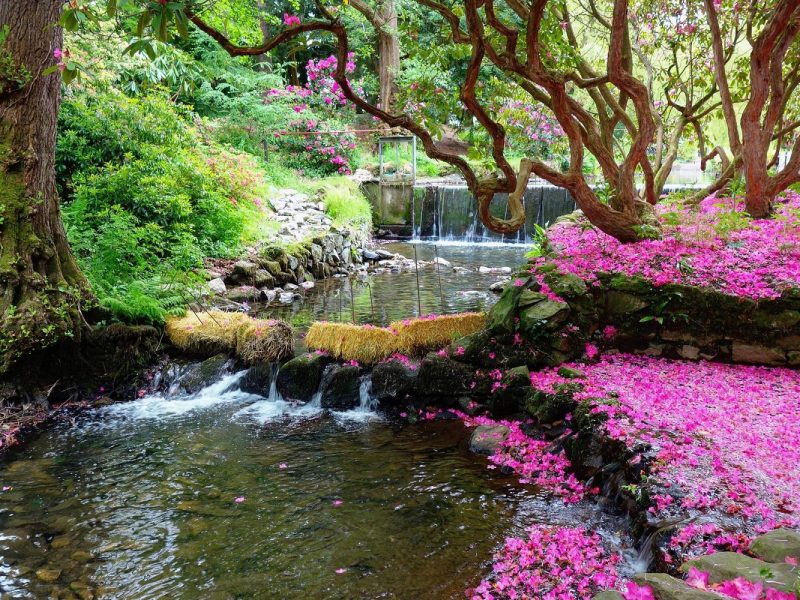 Busreise Gartenträume in Wales: Bodnant Garden