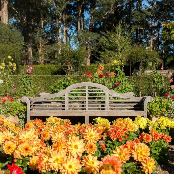 Busreise Gartenträume in Wales: National Botanic Garden