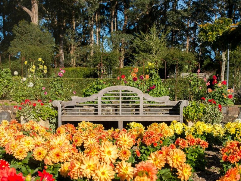 Busreise Gartenträume in Wales: National Botanic Garden