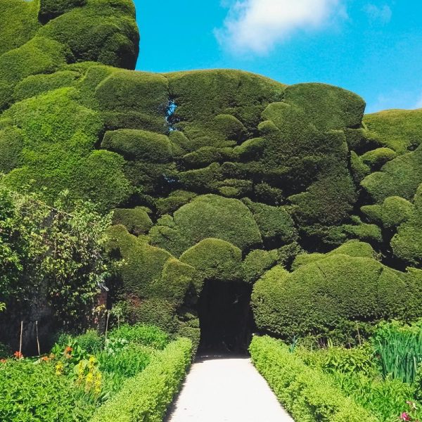 Busreise Gartenträume in Wales: Powis Castle Garden