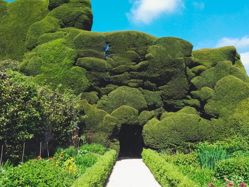 Busreise Gartenträume in Wales: Powis Castle Garden