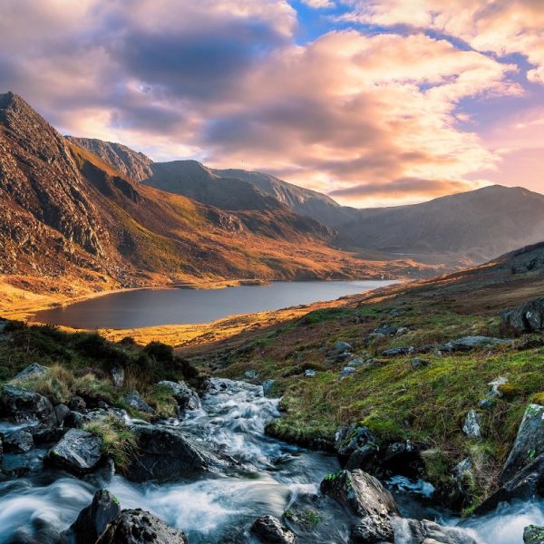 Busreise Gartenträume in Wales
