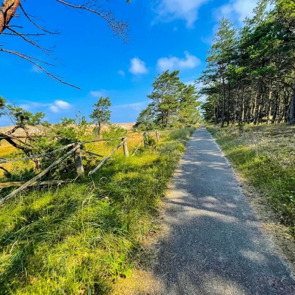 Aktiv Rad-Reise durch das Baltikum: Kuhrische Nehrung