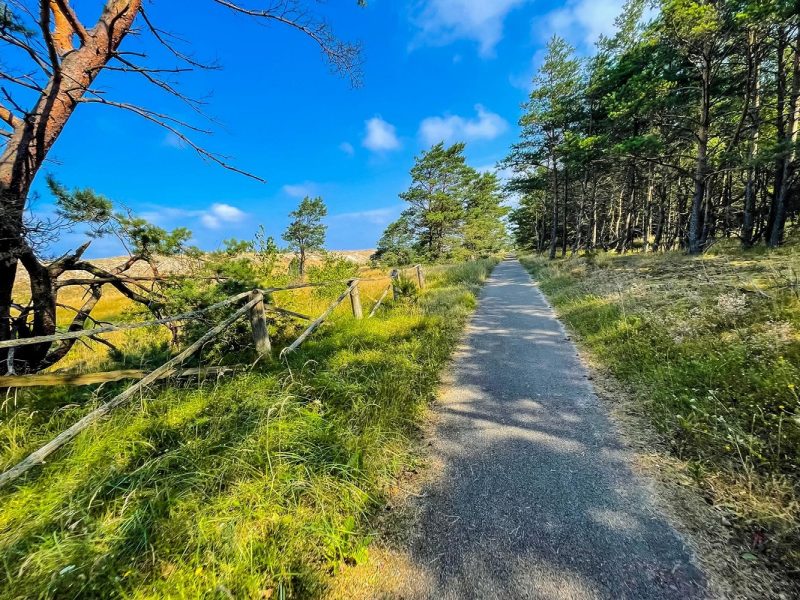 Aktiv Rad-Reise durch das Baltikum: Kuhrische Nehrung