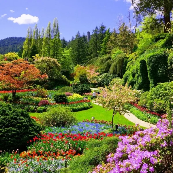 Kanadas wunderbarer Westen - Butchart Gardens