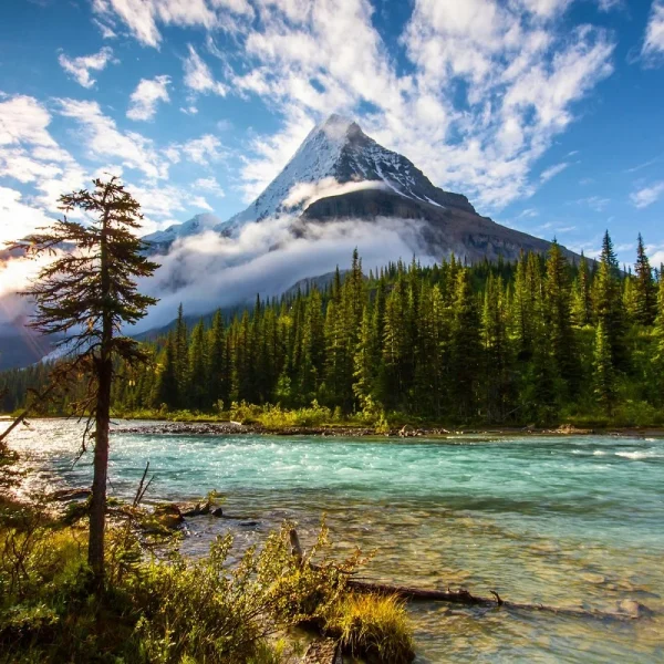 Kanadas wunderbarer Westen - Mount Robson Park