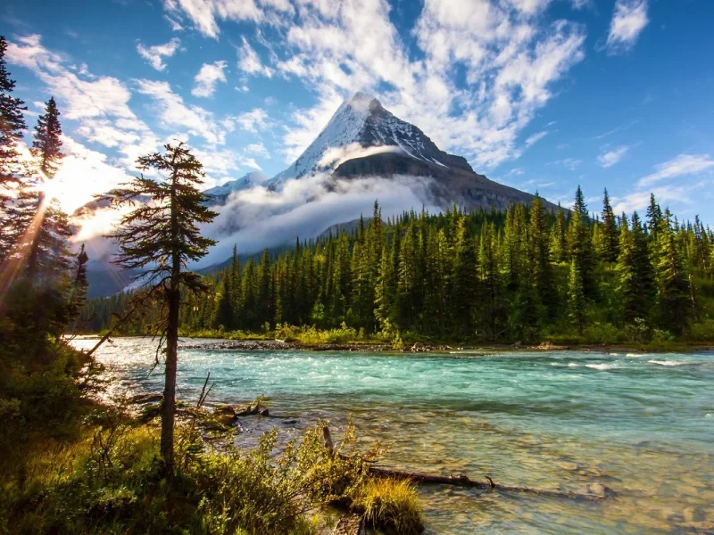 Kanadas wunderbarer Westen - Mount Robson Park