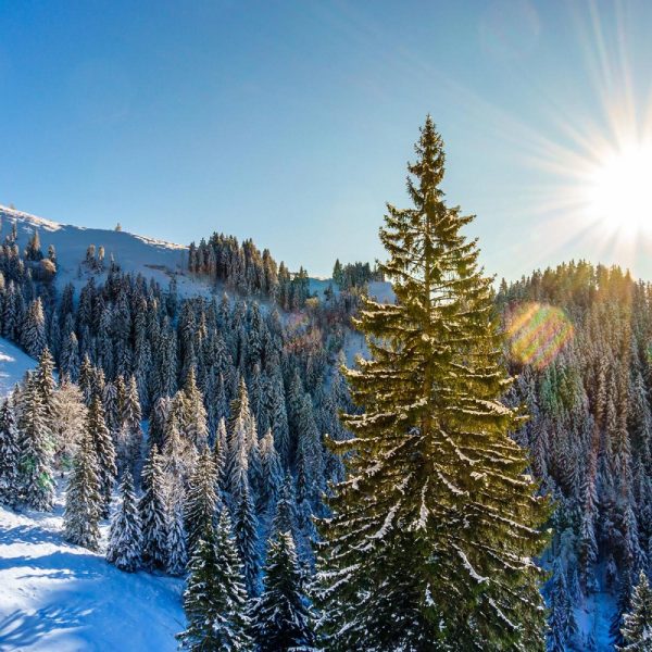 Busreise Bayerischer Winterzauber im Advent