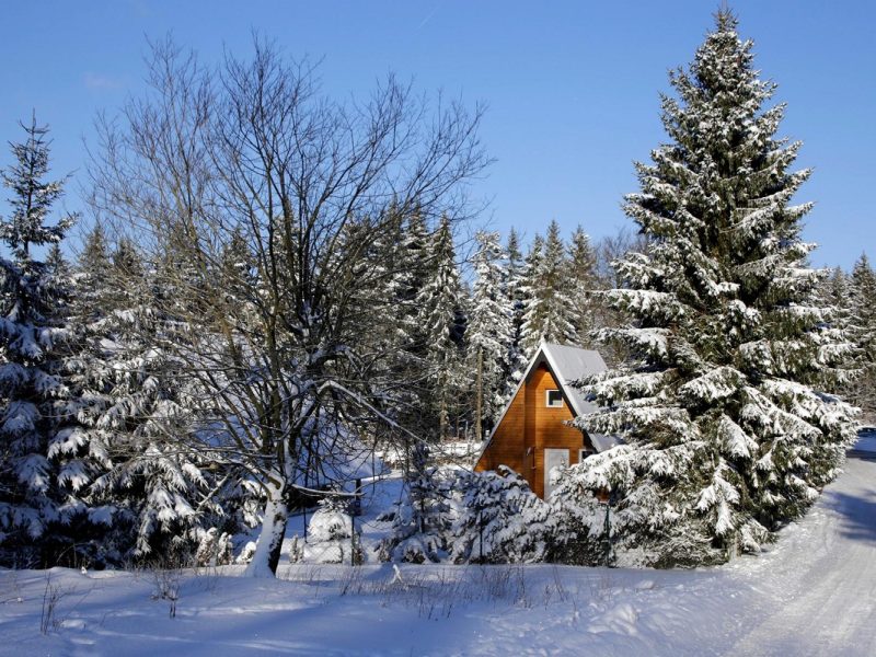 Busreise Weihnachten in Friedrichroda