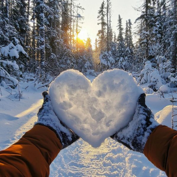 Busreise Weihnachten in Friedrichroda