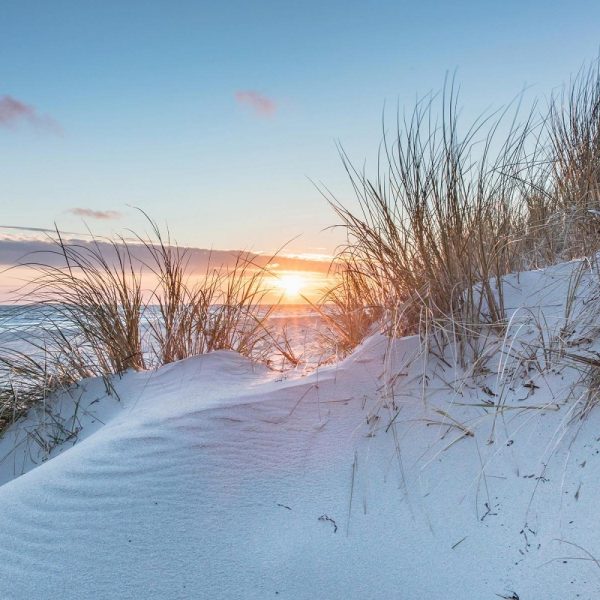 Busreise Silvester in Greifwald