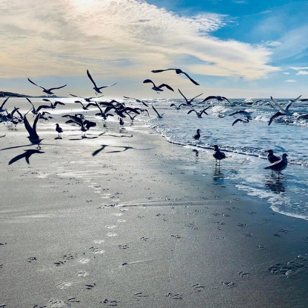 Busreise Silvesterallerlei in Ostfriesland