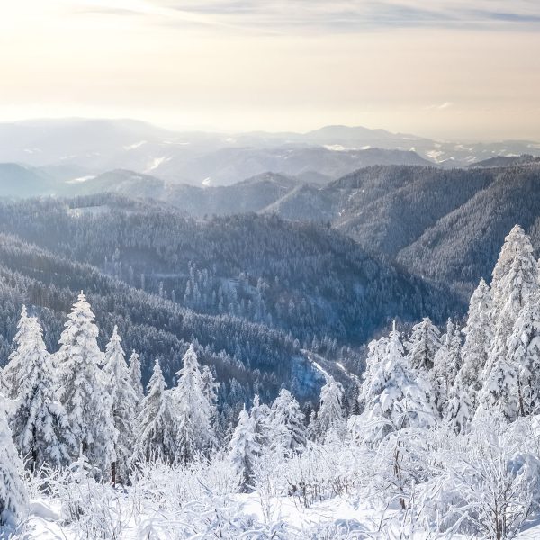 Busreise Schwarzwald im Advent - Winterliche Schwarzwald-Rundfahrt © pure-life-pictures - Fotolia