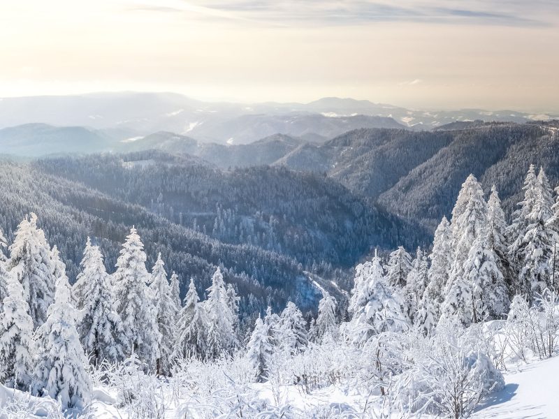 Busreise Schwarzwald im Advent - Winterliche Schwarzwald-Rundfahrt © pure-life-pictures - Fotolia