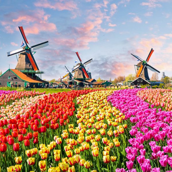 Busreise Amsterdam - „Grachten, Käse & mehr!“