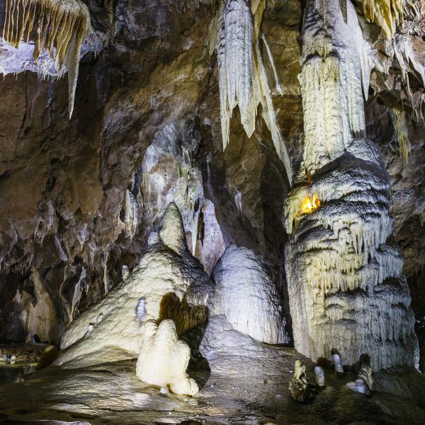 Busreise Mährens Schätze – Kultur, Natur und Genuss entdecken: Die berühmten Punkva-Höhlen