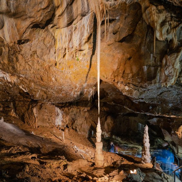 Busreise Mährens Schätze – Kultur, Natur und Genuss entdecken: Die berühmten Punkva-Höhlen