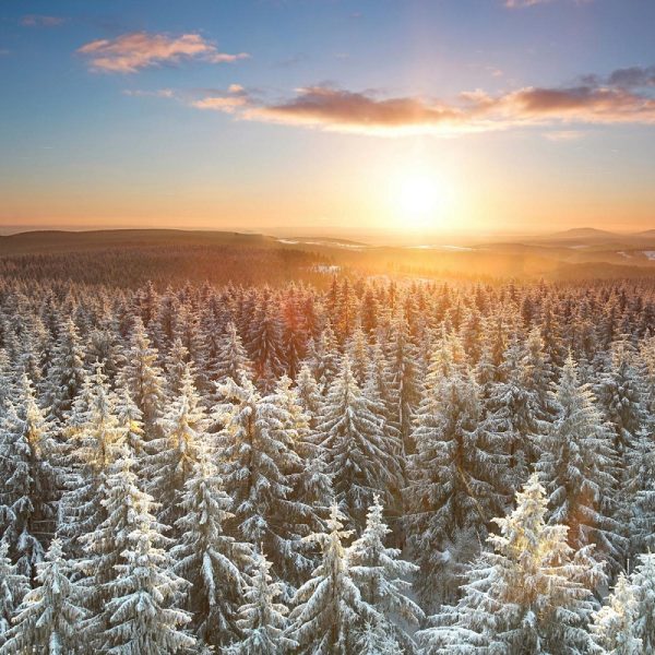 Busreise Weihnachten in Oberhof