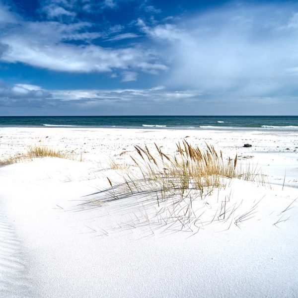 Busreise Sonnenscheininsel Bornholm © pixabay