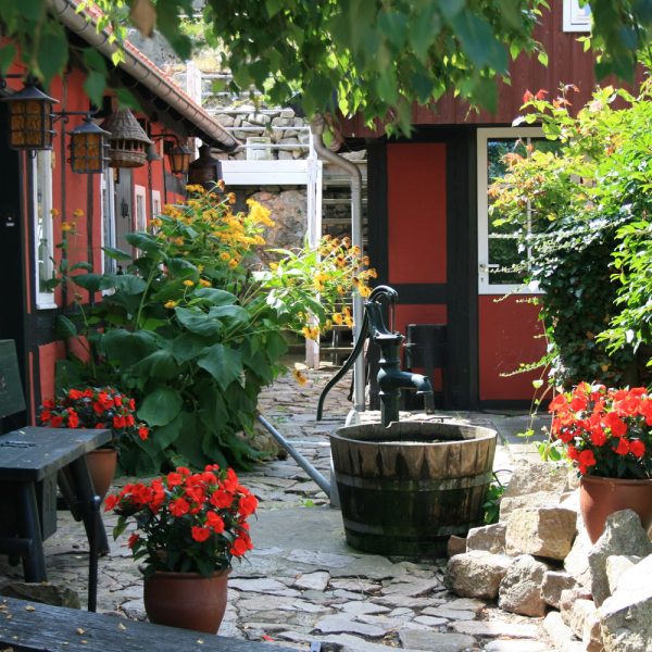 Busreise Sonnenscheininsel Bornholm © pixabay