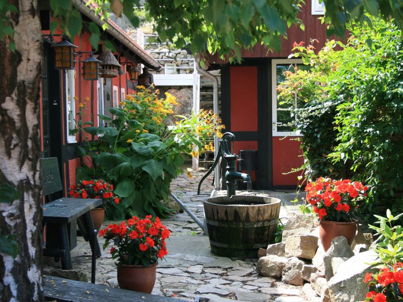 Busreise Sonnenscheininsel Bornholm © pixabay