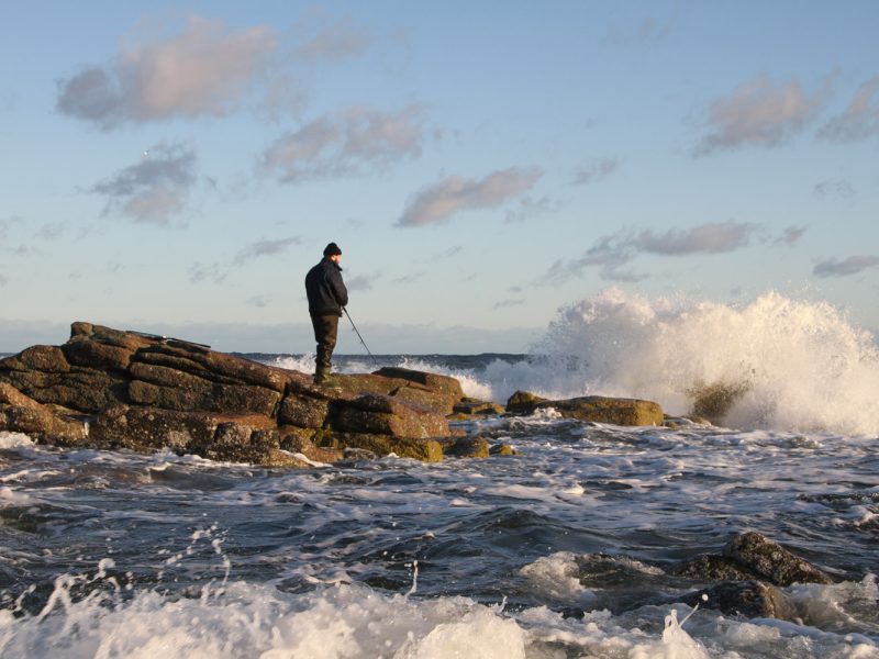 Busreise Sonnenscheininsel Bornholm © pixabay