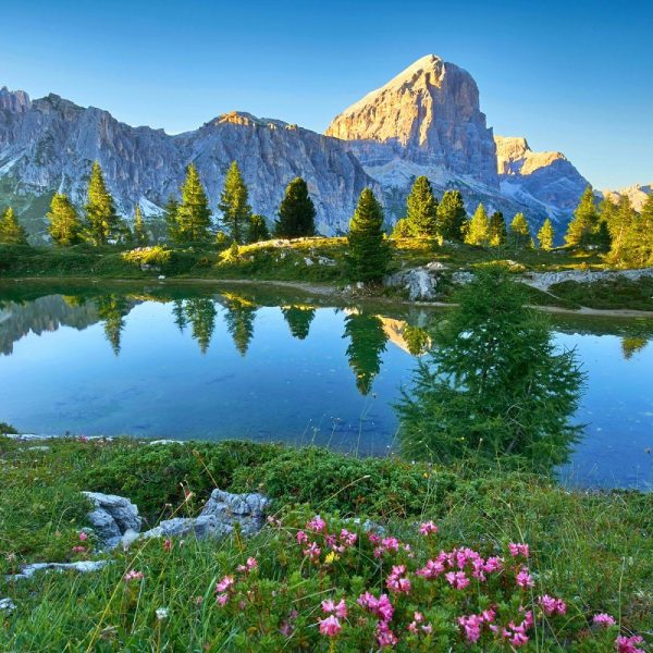 Busreise Bernina Express und Iseosee: Brenta Dolomiten in Südtirol