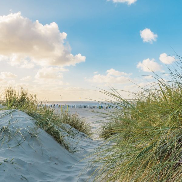 Busreise Inselhüpfen in Ostfriesland