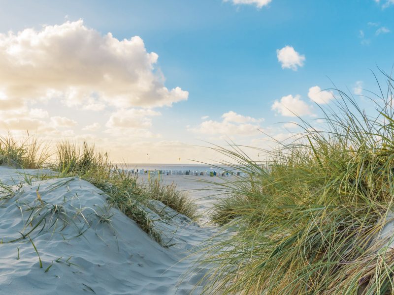 Busreise Inselhüpfen in Ostfriesland