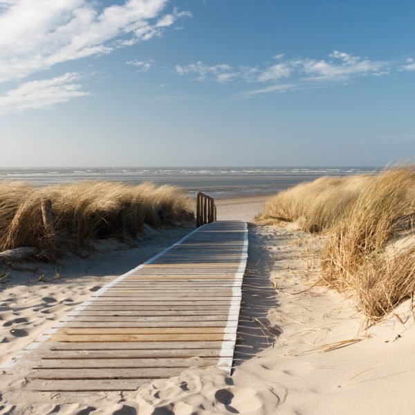 Busreise Inselhüpfen in Ostfriesland - Langeoog