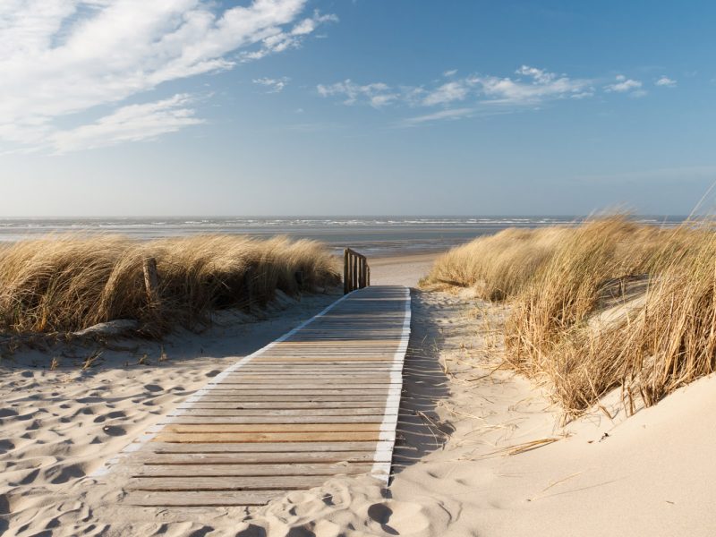 Busreise Inselhüpfen in Ostfriesland - Langeoog
