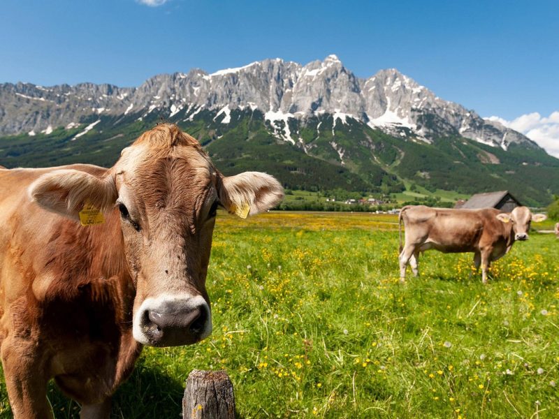 Die Erlebniswelt Steiermark