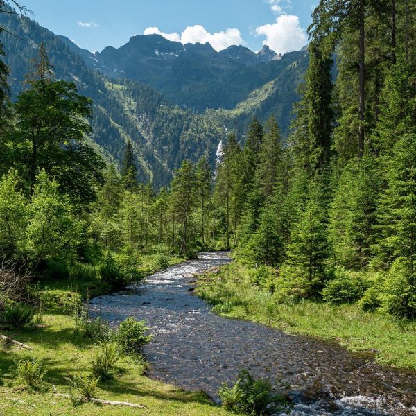 Die Erlebniswelt Steiermark