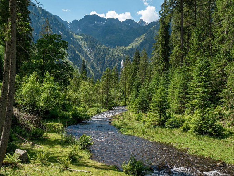 Die Erlebniswelt Steiermark
