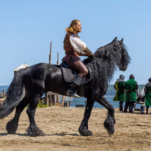 Busreise Störtebeker Festspiele © Störtebeker Festspiele