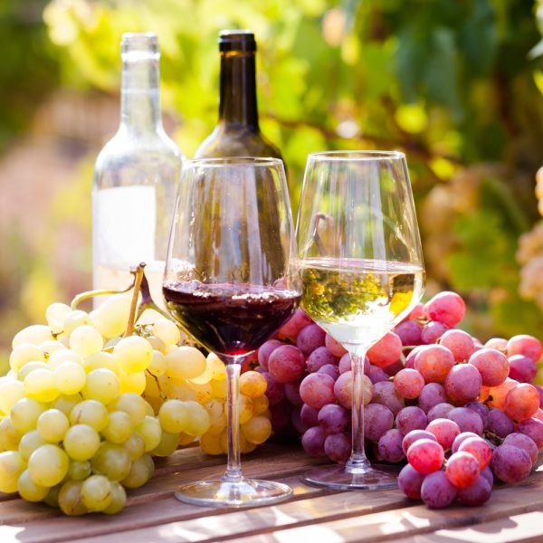 Busreise Weinfeste im Elbtal