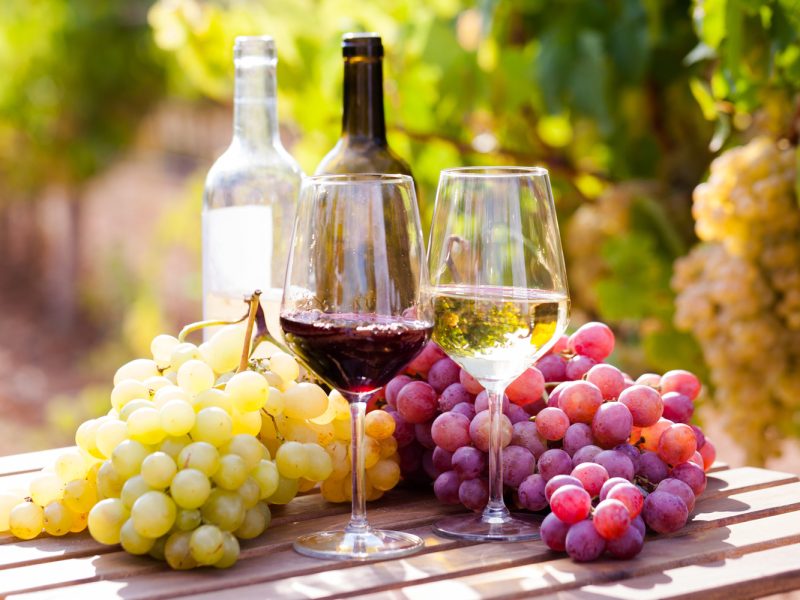 Busreise Weinfeste im Elbtal