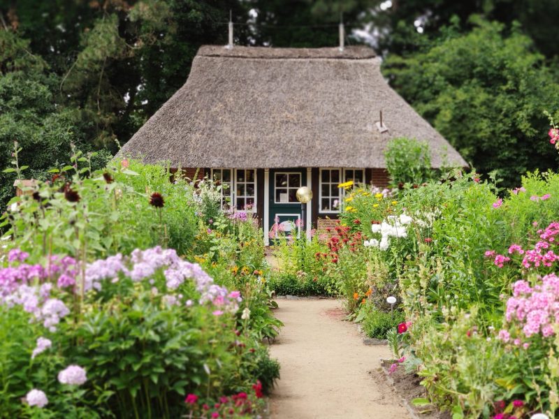 Busreise Gartenreise Norddeutschland - Loki-Schmidt-Garten