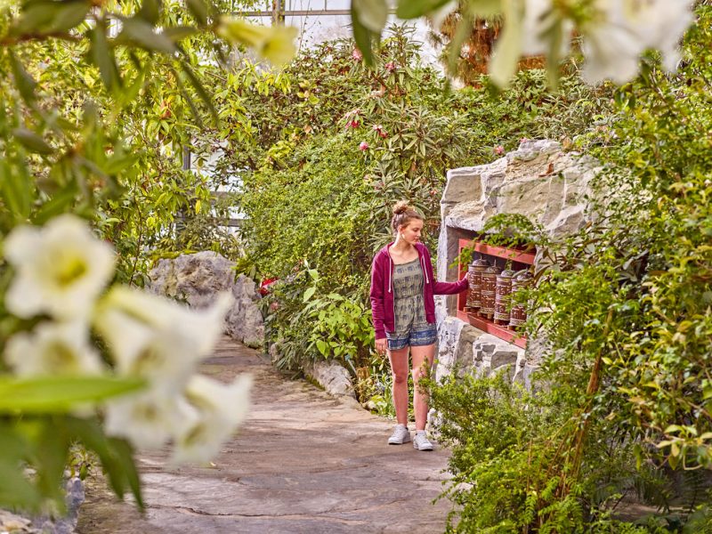 Botanika in Bremen © Marcus Meyer - botanika