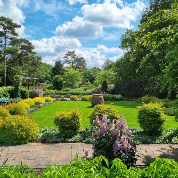 Botanischer Garten © Stiftung Bremer Rhododendronpark