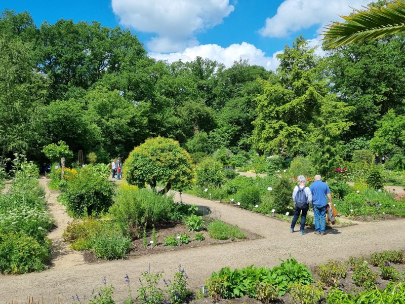 Alter Park © Stiftung Bremer Rhododendronpark