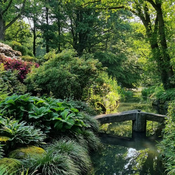 Wasserlauf im Botanischen Garten © Stiftung Bremer Rhododendronpark