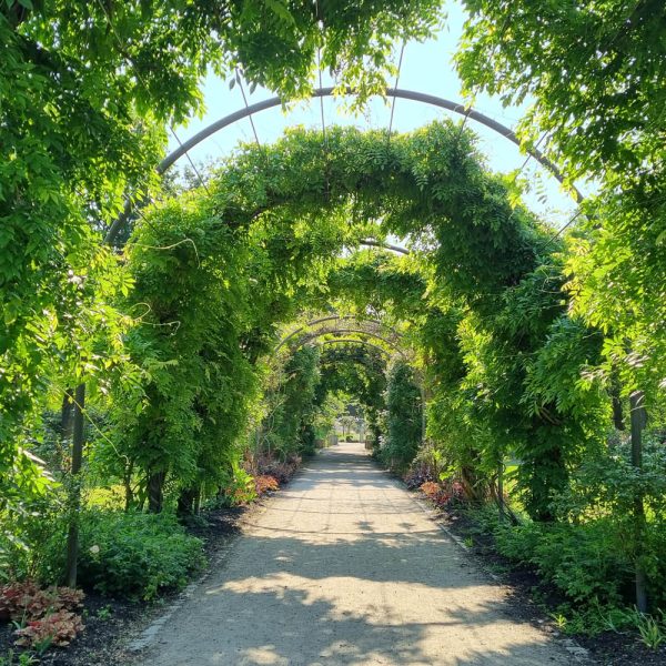 Botanischer Garten, flanieren durch die Parkanlage © Stiftung Bremer Rhododendronpark